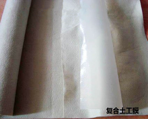 ��(f��)������Ĥ